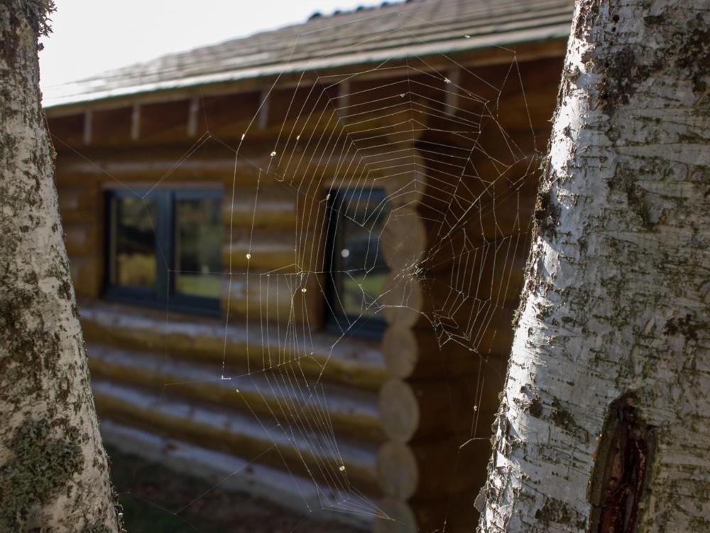 Reves De Bois Villa Loubeyrat Exterior photo